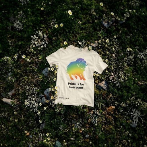 Pride-T-shirt